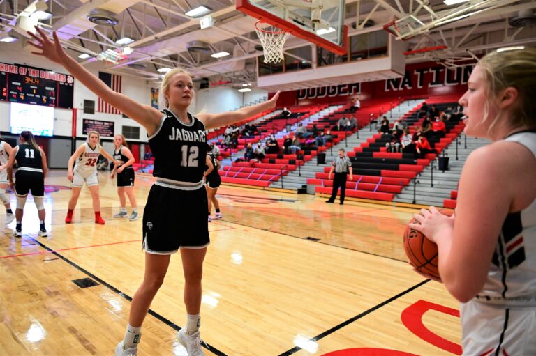 Blimpie Sub of the Week Olivia Anderson, Centennial girls’ basketball