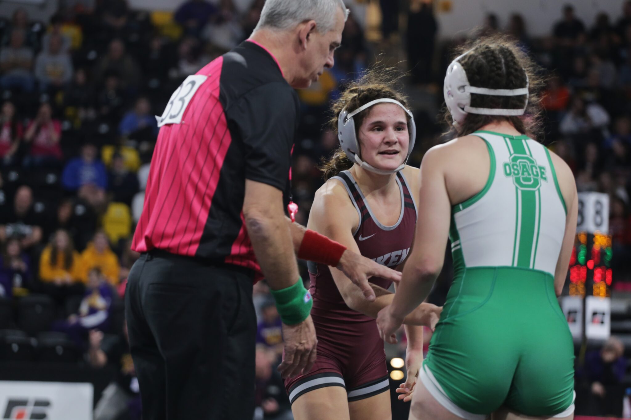 ‘This tournament was hard for us’: Only 1 Ankeny wrestler remains alive ...